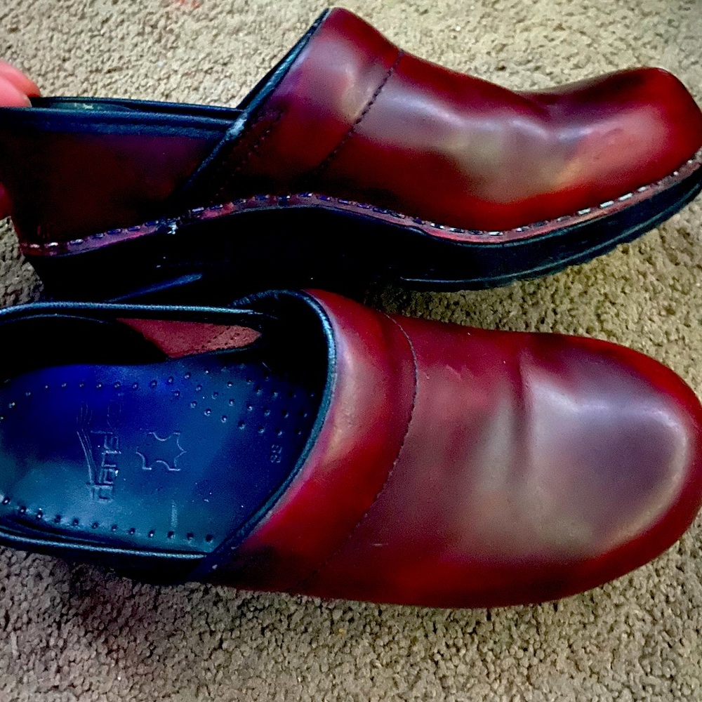 Dansko Clogs